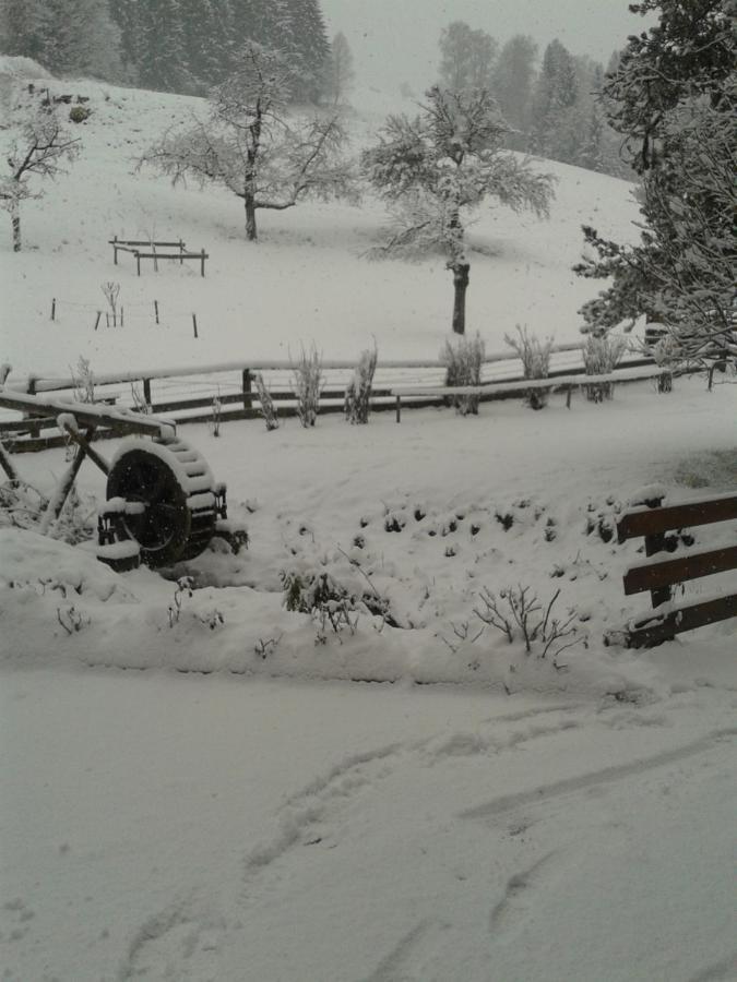 Muehlnerhof Familie Gruber Bed & Breakfast Aich  Dış mekan fotoğraf