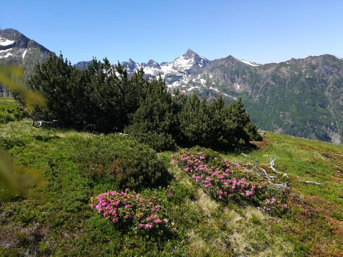 Muehlnerhof Familie Gruber Bed & Breakfast Aich  Dış mekan fotoğraf