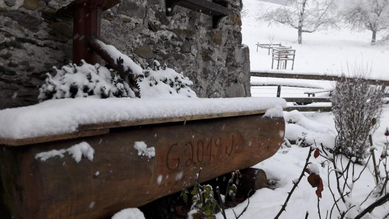 Muehlnerhof Familie Gruber Bed & Breakfast Aich  Dış mekan fotoğraf