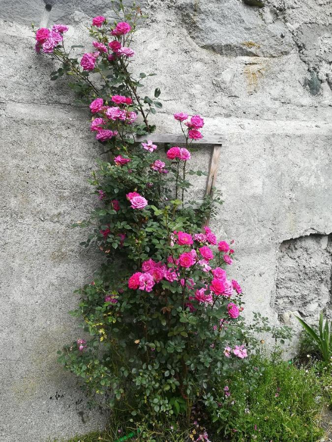 Muehlnerhof Familie Gruber Bed & Breakfast Aich  Dış mekan fotoğraf