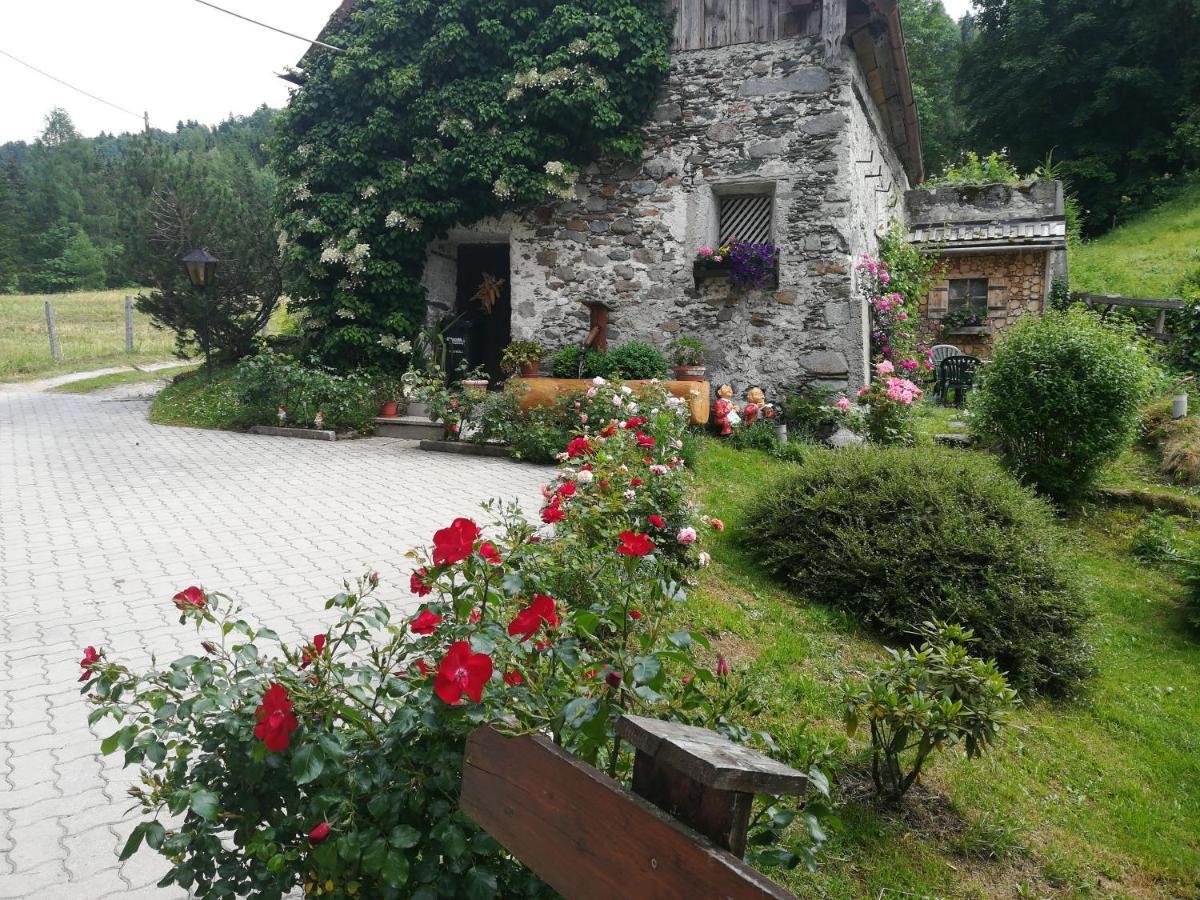 Muehlnerhof Familie Gruber Bed & Breakfast Aich  Dış mekan fotoğraf