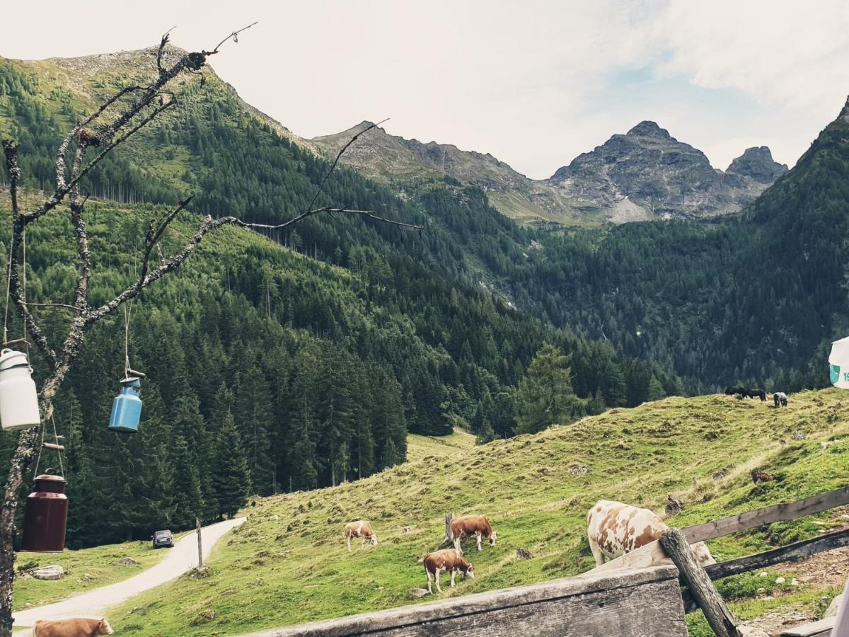 Muehlnerhof Familie Gruber Bed & Breakfast Aich  Dış mekan fotoğraf