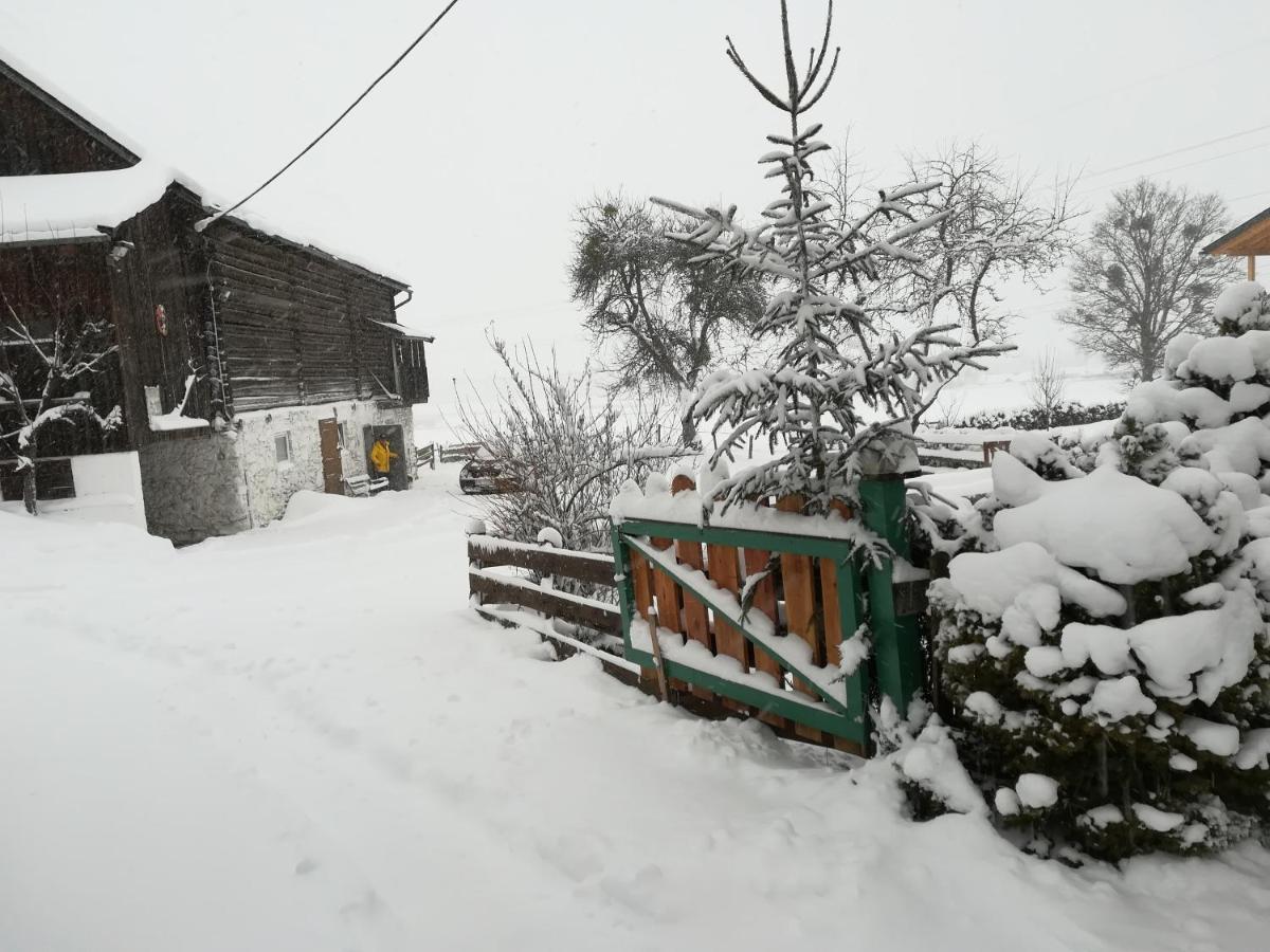 Muehlnerhof Familie Gruber Bed & Breakfast Aich  Dış mekan fotoğraf