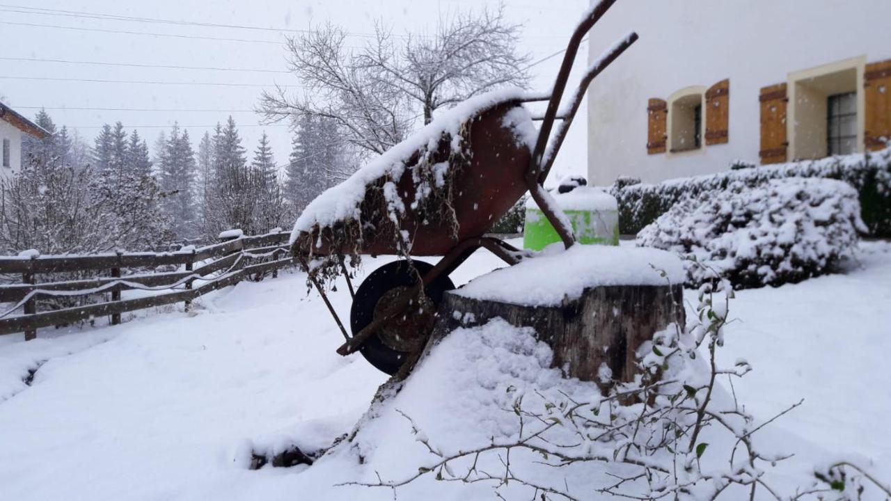 Muehlnerhof Familie Gruber Bed & Breakfast Aich  Dış mekan fotoğraf